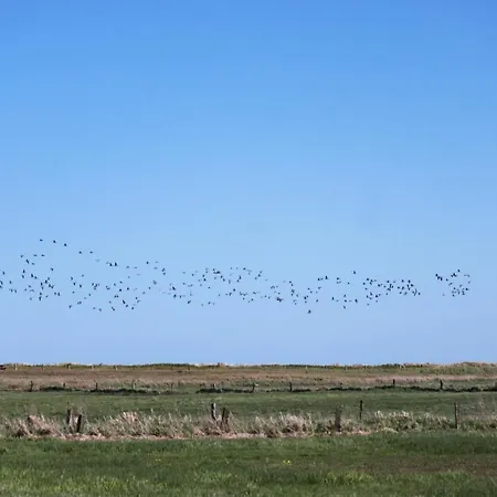 'birk' - Refugium Pottloch Ostsee Lejlighed
